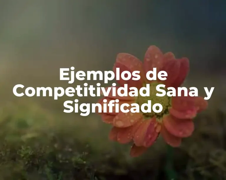 Ejemplos de Competitividad Sana y Significado