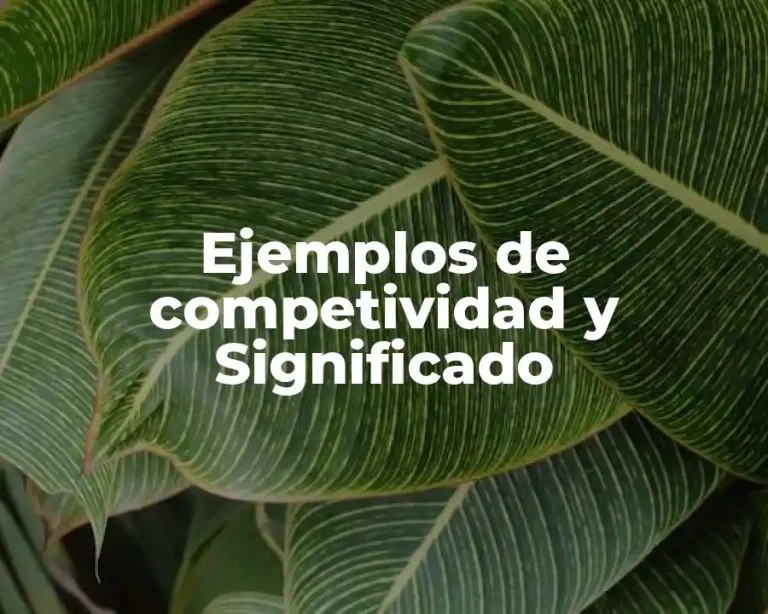 Ejemplos de competividad y Significado