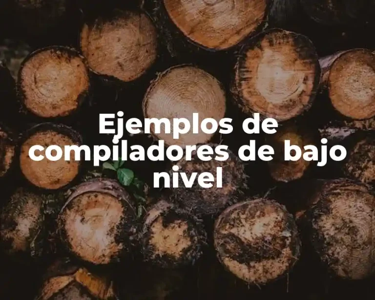 Ejemplos de compiladores de bajo nivel