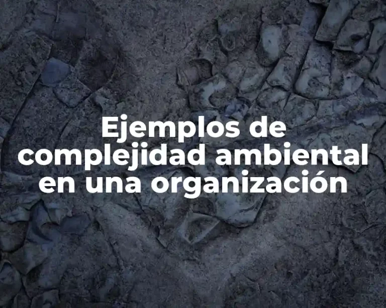 Ejemplos de complejidad ambiental en una organización