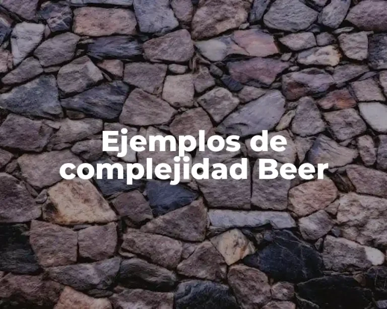 Ejemplos de complejidad Beer