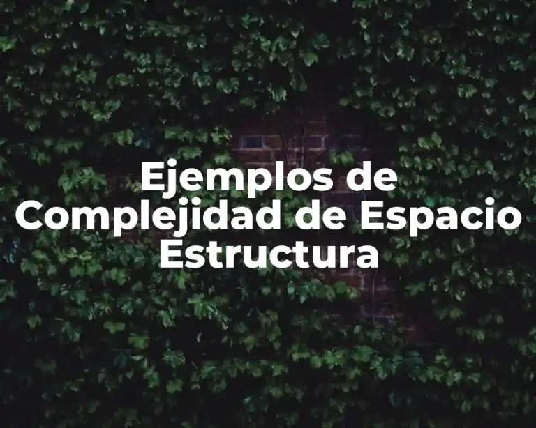Ejemplos de Complejidad de Espacio Estructura