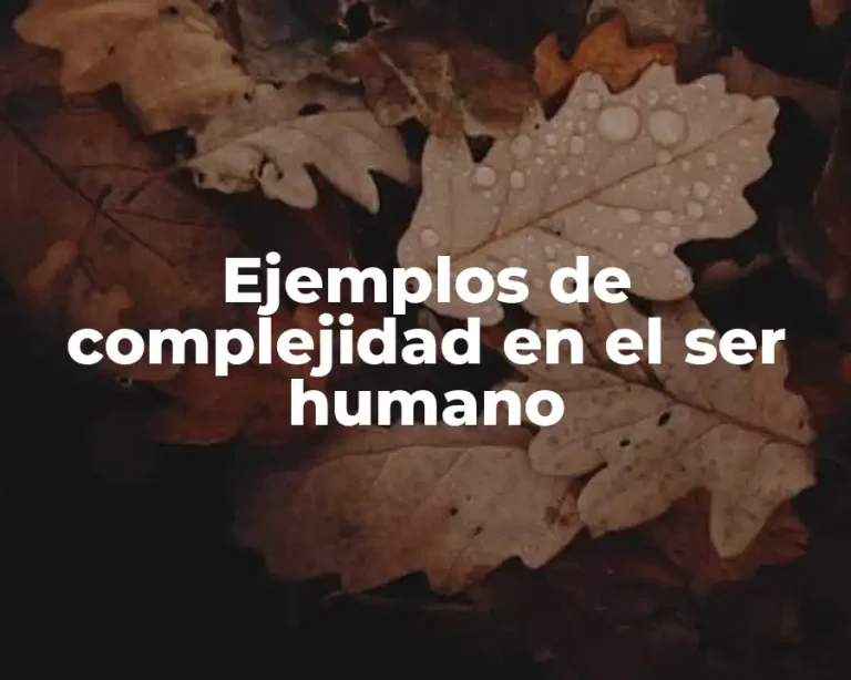 Ejemplos de complejidad en el ser humano