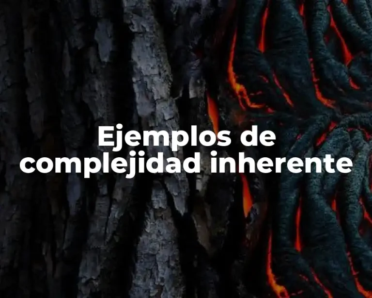 Ejemplos de complejidad inherente