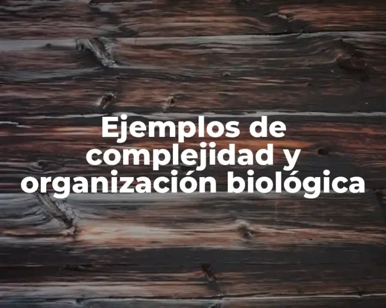 Ejemplos de complejidad y organización biológica