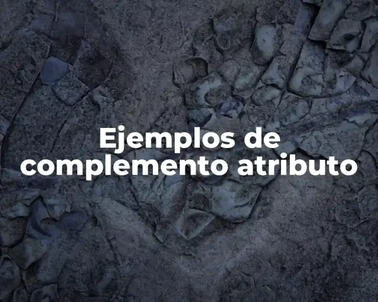 Ejemplos de complemento atributo