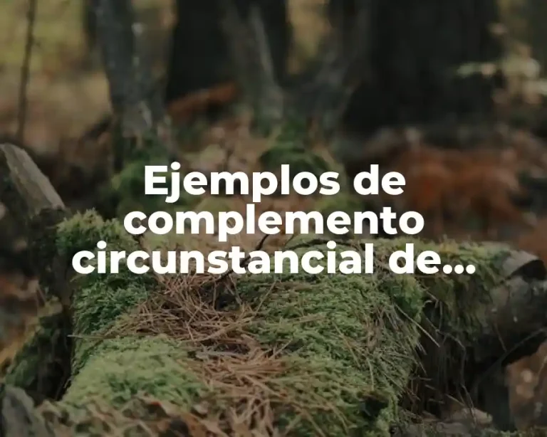 Ejemplos de complemento circunstancial de compañía y Significado