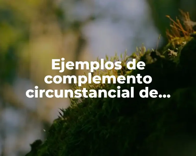 Ejemplos de complemento circunstancial de negación