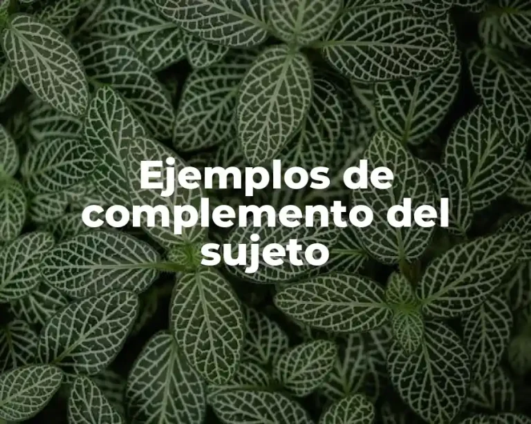 Ejemplos de complemento del sujeto
