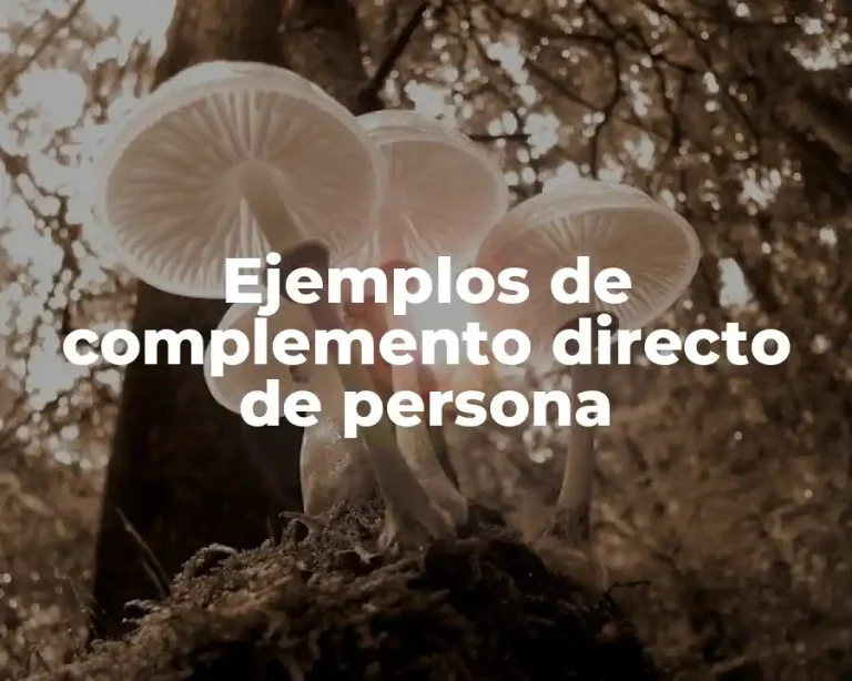 Ejemplos de complemento directo de persona