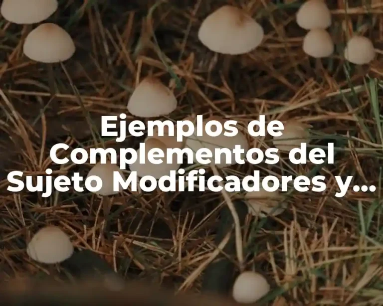 Ejemplos de Complementos del Sujeto Modificadores y Significado