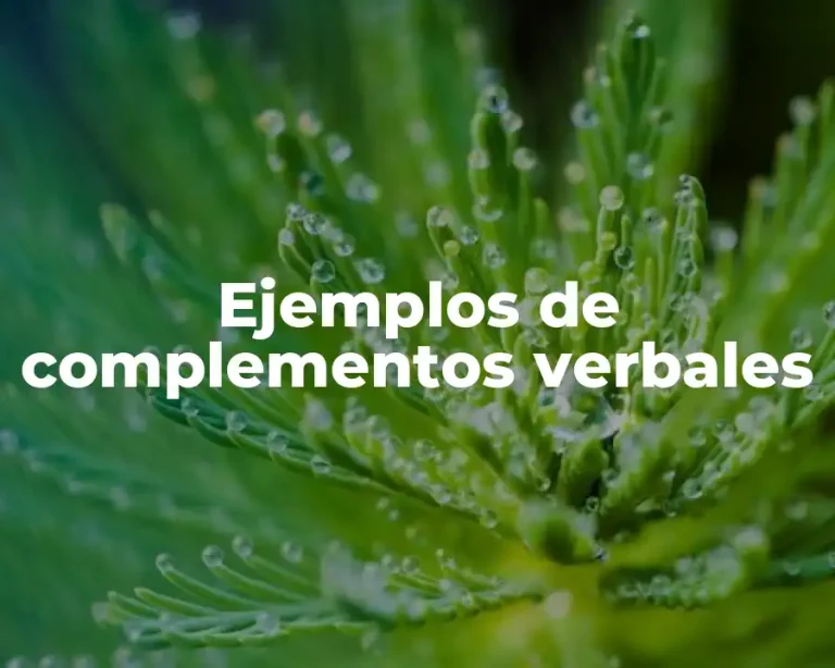 Ejemplos de complementos verbales