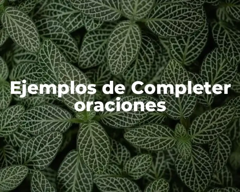 Ejemplos de Completer oraciones
