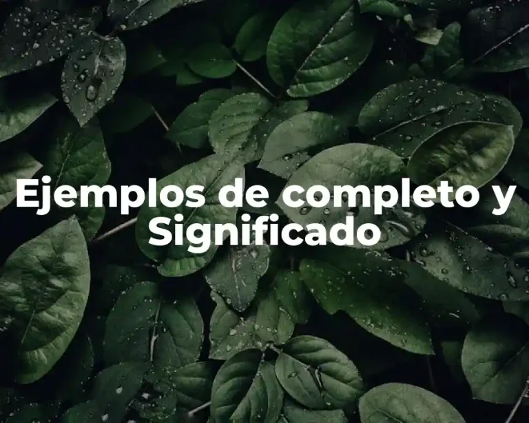Ejemplos de completo y Significado