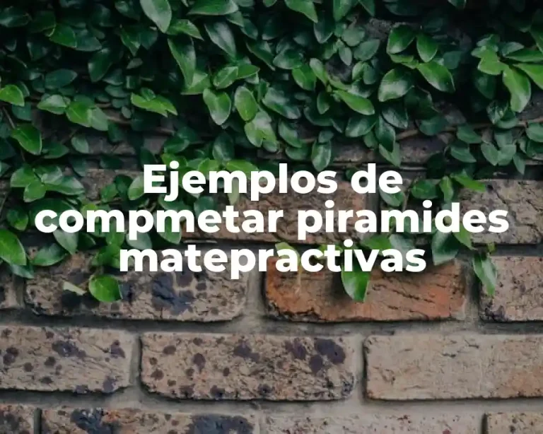 Ejemplos de compmetar piramides matepractivas