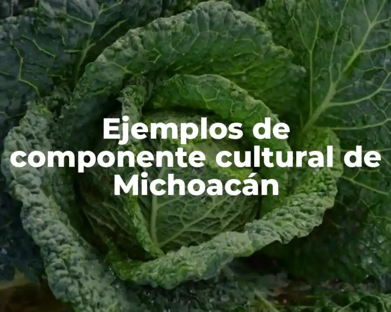 Ejemplos de componente cultural de Michoacán