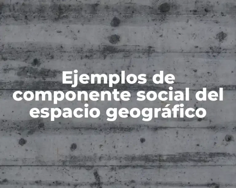 Ejemplos de componente social del espacio geográfico