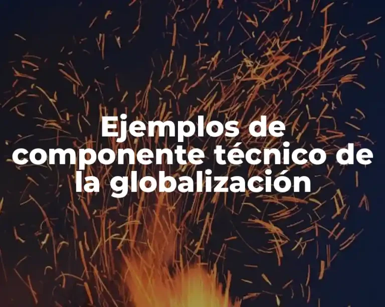 Ejemplos de componente técnico de la globalización