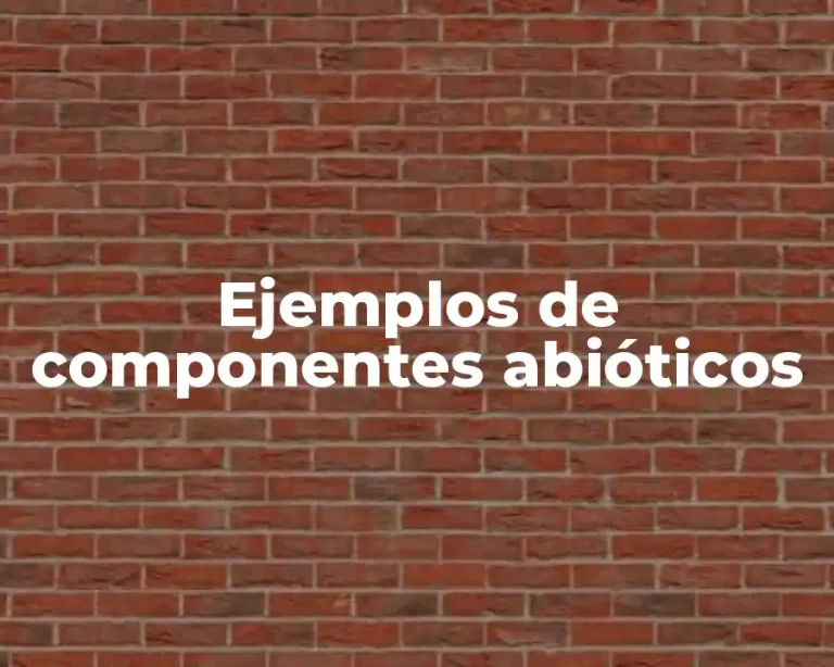 Ejemplos de componentes abióticos