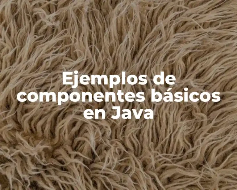 Ejemplos de componentes básicos en Java