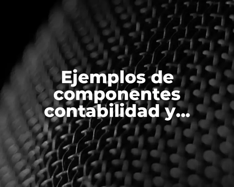 Ejemplos de componentes contabilidad y Significado