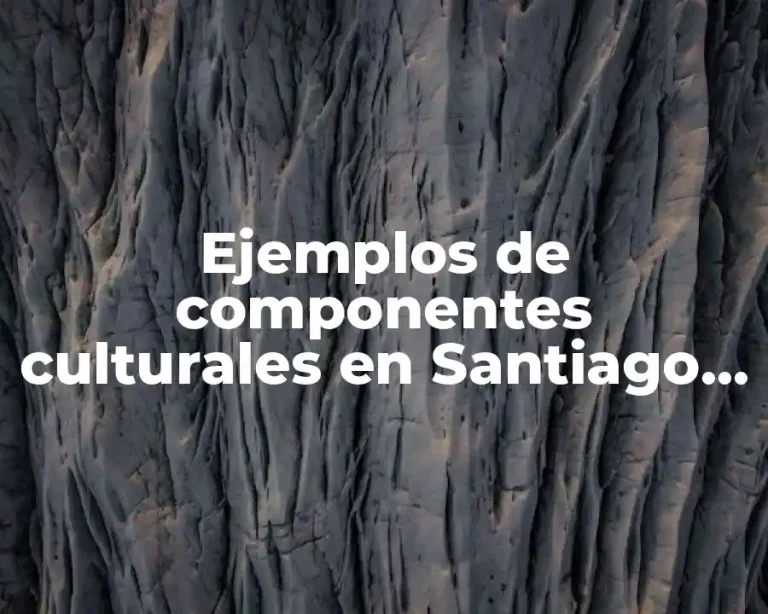 Ejemplos de componentes culturales en Santiago Coltzingo