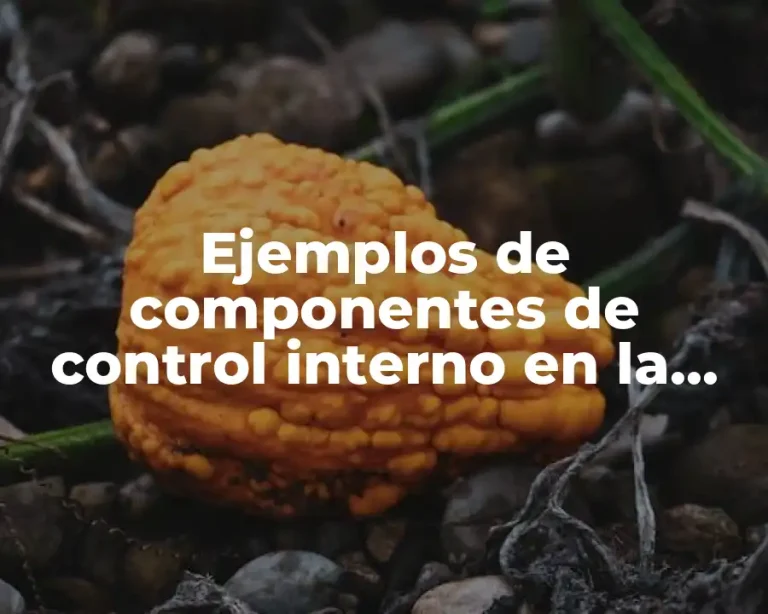 Ejemplos de componentes de control interno en la administración pública