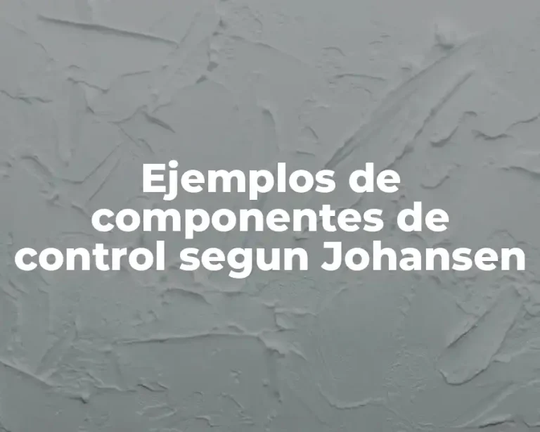 Ejemplos de componentes de control segun Johansen