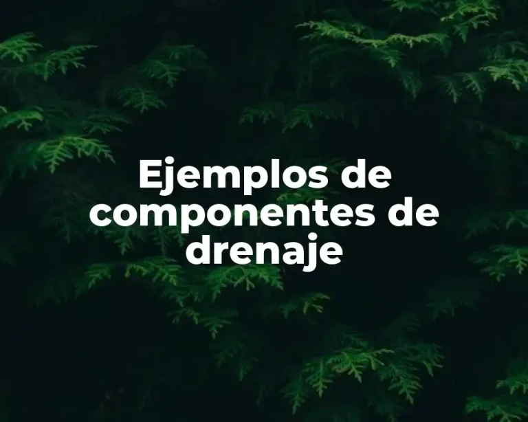Ejemplos de componentes de drenaje