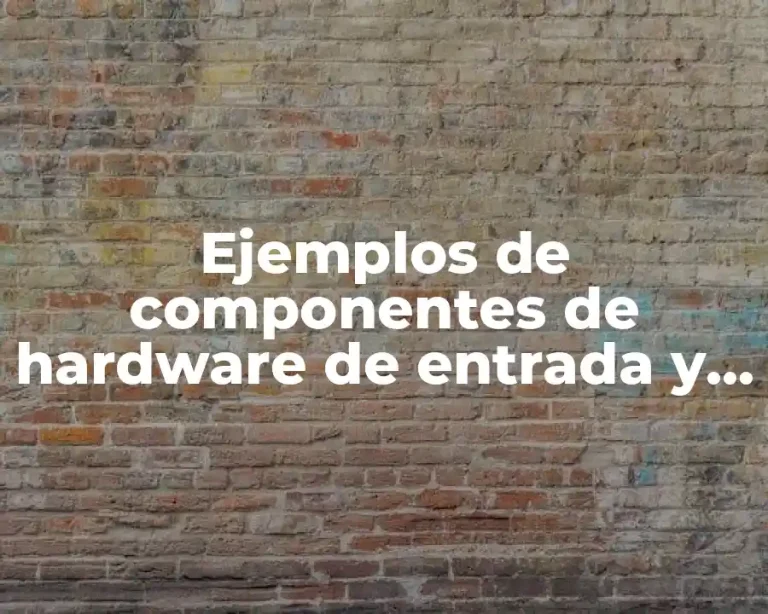Ejemplos de componentes de hardware de entrada y salida