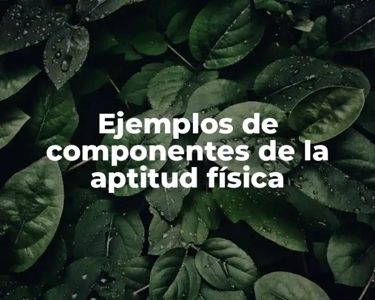 Ejemplos de componentes de la aptitud física