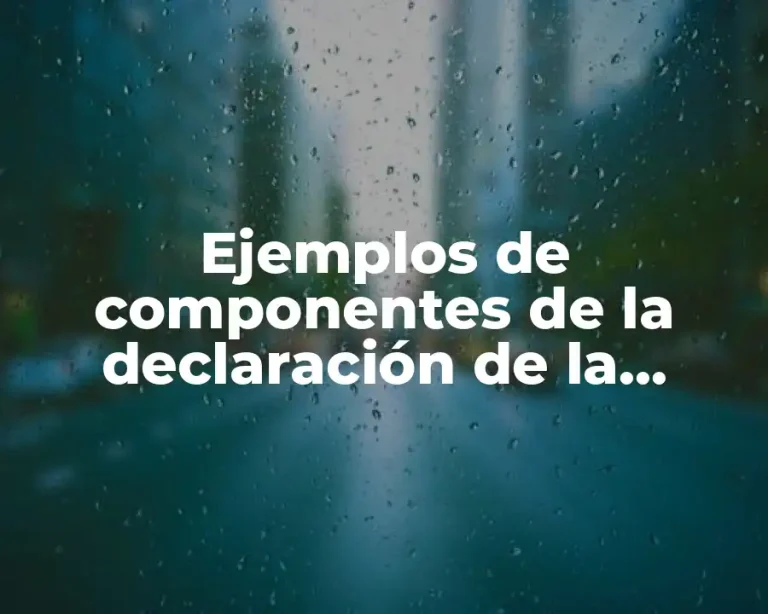 Ejemplos de componentes de la declaración de la misión y Significado