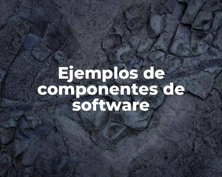 Ejemplos de componentes de software