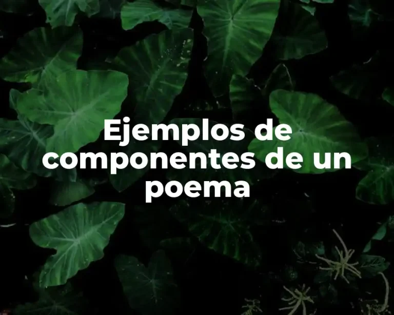Ejemplos de componentes de un poema