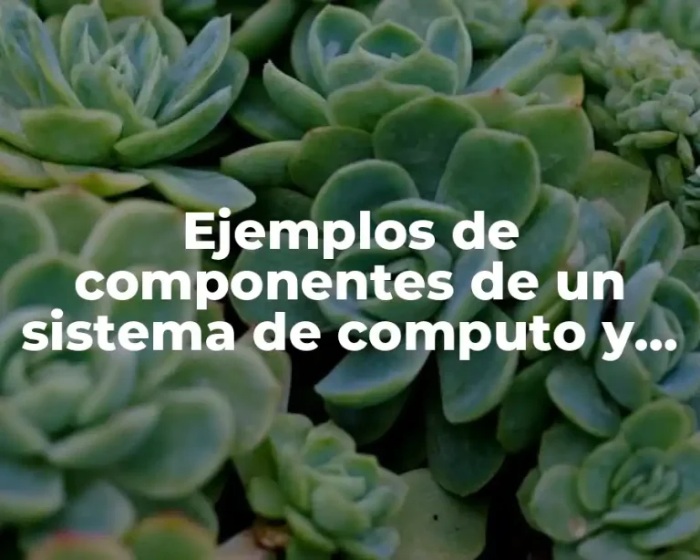Ejemplos de componentes de un sistema de computo y Significado