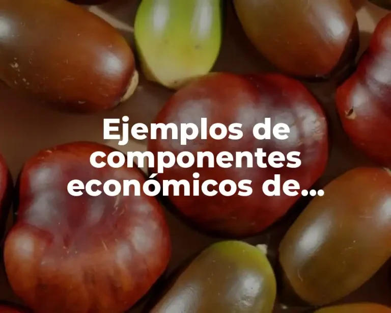 Ejemplos de componentes económicos de Argentina