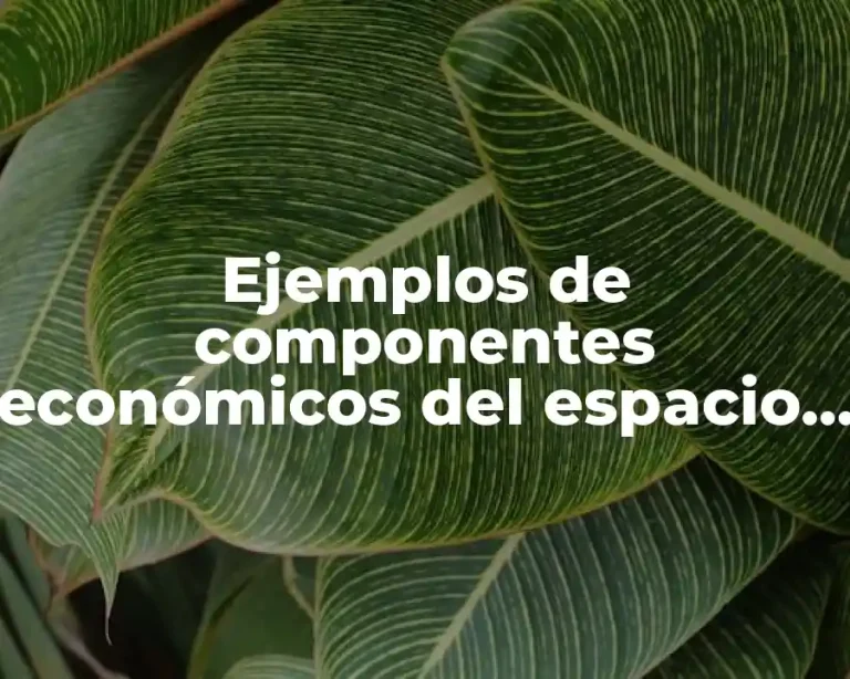 Ejemplos de componentes económicos del espacio geográfico