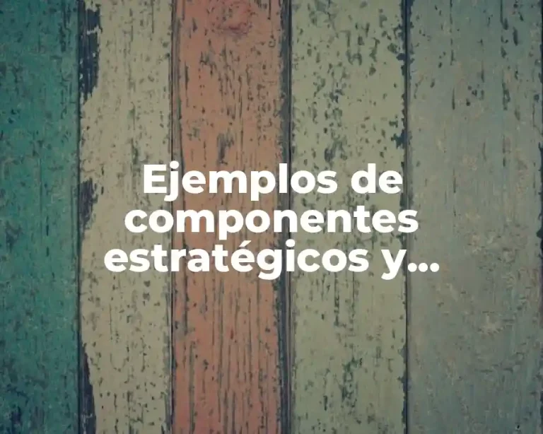 Ejemplos de componentes estratégicos y programáticos de la salud pública