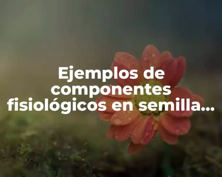 Ejemplos de componentes fisiológicos en semilla de jitomate y Significado