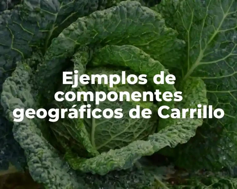 Ejemplos de componentes geográficos de Carrillo