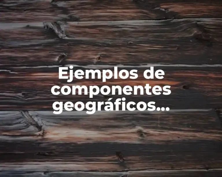 Ejemplos de componentes geográficos económicos y Significado