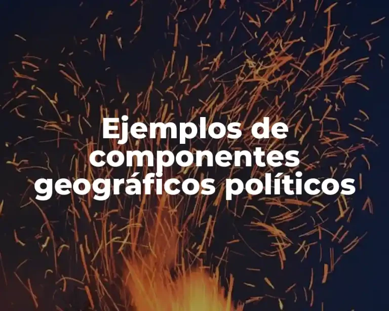 Ejemplos de componentes geográficos políticos