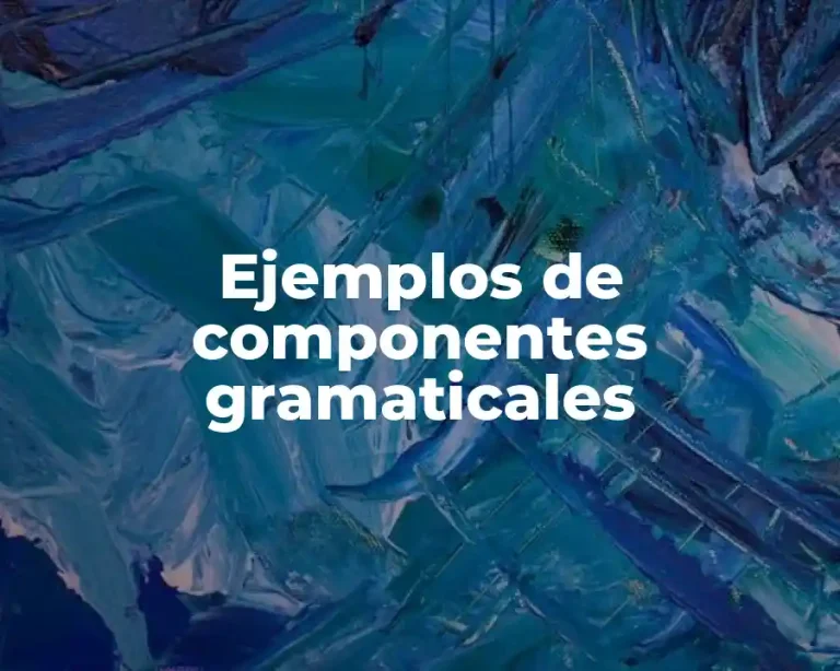 Ejemplos de componentes gramaticales
