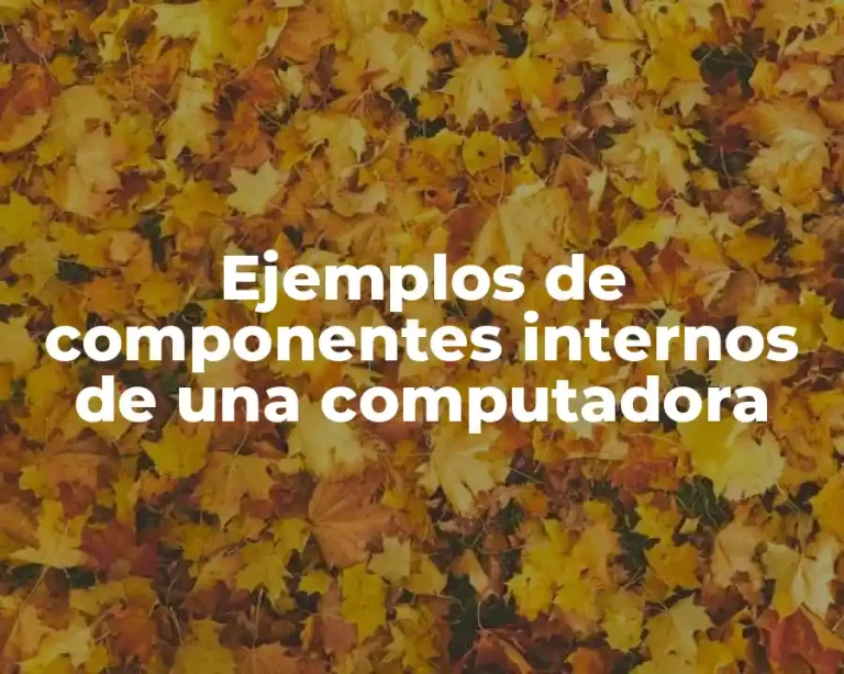 Ejemplos de componentes internos de una computadora