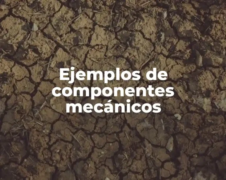 Ejemplos de componentes mecánicos