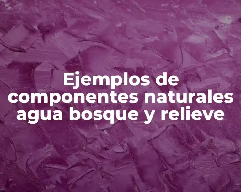 Ejemplos de componentes naturales agua bosque y relieve