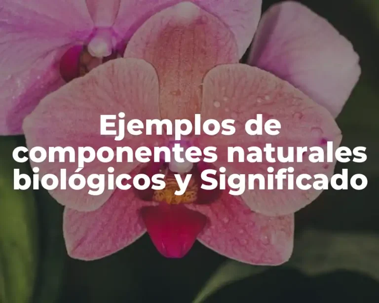 Ejemplos de componentes naturales biológicos y Significado