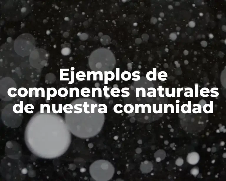 Ejemplos de componentes naturales de nuestra comunidad
