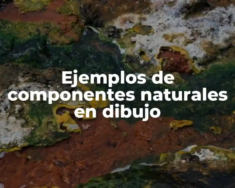 Ejemplos de componentes naturales en dibujo