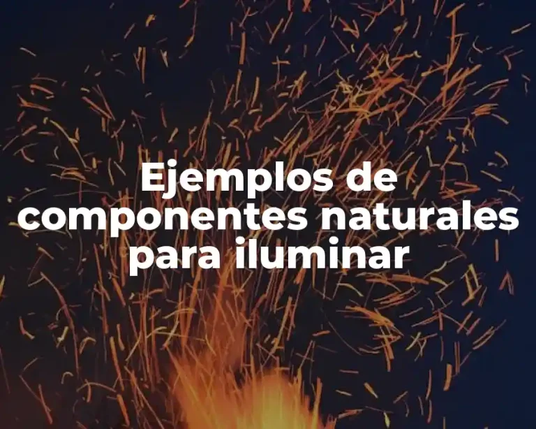 Ejemplos de componentes naturales para iluminar